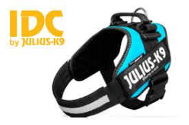 In the top left of the picture in orange is the text IDC by JULIUS-K9, and filling the rest of the picture is a turquoise-bodied dog harness with black straps and a black handle on top.