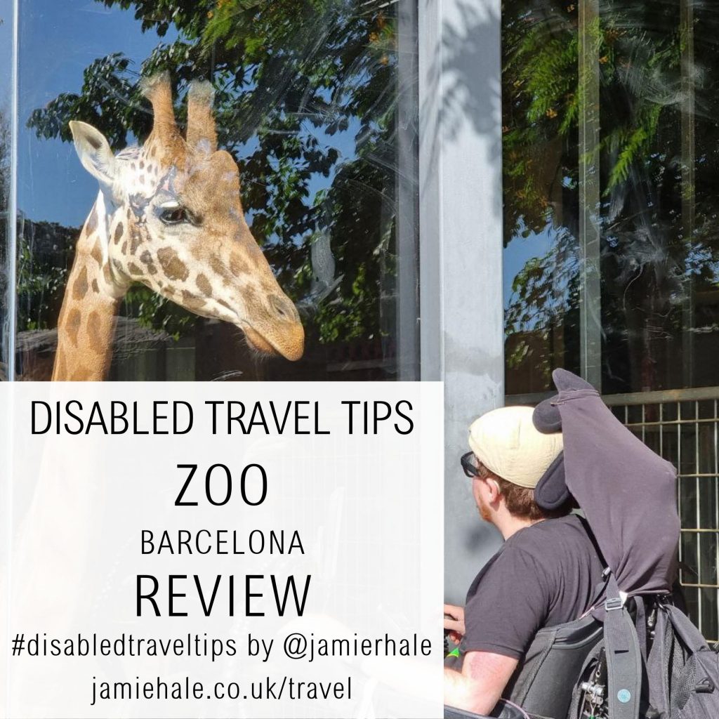 Jamie Hale in their electric wheelchair facing a very large window. Just the other side of the glass is a giraffe! Jamie and the giraffe are looking at each other. Superimposed over the top of the image is text that reads 'Disabled travel tips - zoo - Barcelona - Review', '#disabledtraveltips by @jamierhale jamiehale.co.uk/travel'