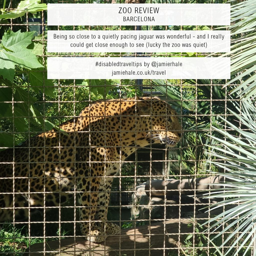 A yellow jaguar with black and brown markings is in the shadows of large green leaves, behind a square criss-crossed fence. Text over the image reads 'Zoo review - Barcelona', 'Being so close to a quietly pacing jaguar was wonderful - and I really could get close enough to see (lucky the zoo was quiet)', '#disabledtraveltips by @jamierhale jamiehale.co.uk/travel'