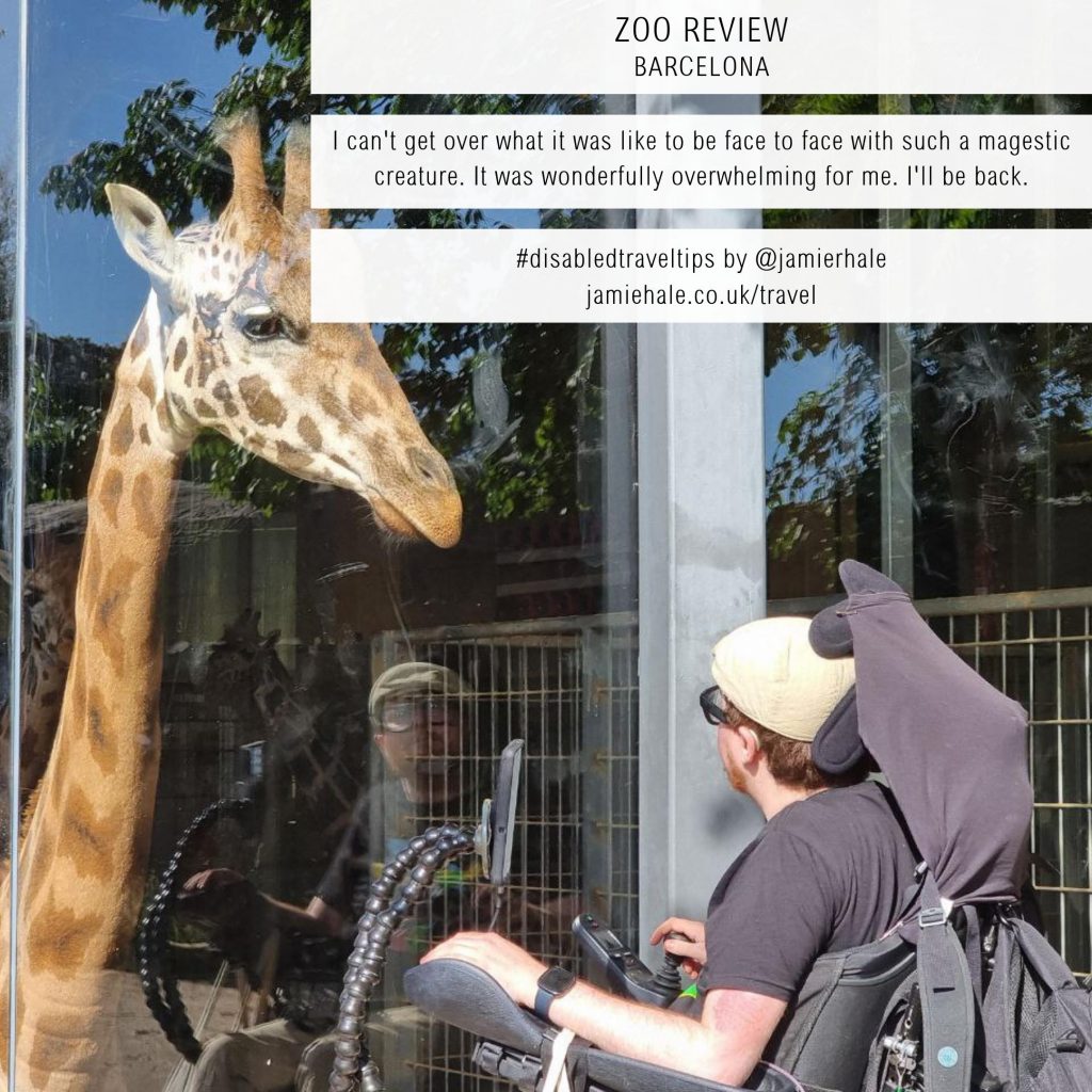 A photo of Jamie Hale in their electric wheelchair facing a very large window. Just the other side of the glass is a giraffe! Jamie and the giraffe are looking at each other. Superimposed over the top of the image is text that reads 'Disabled travel tips - zoo - Barcelona - Review', 'I can't get over what it was like to be face to face with such a majestic creature. It was wonderfully overwhelming for me. I'll be back.' '#disabledtraveltips by @jamierhale jamiehale.co.uk/travel'