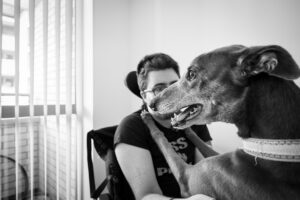 The photo is black and white. In the background I sit in my electric wheelchair, you can see the edge my head on the headrest, the photo is in profile. The foreground of the image is taken up with a dark grey greyhound, whose paws are on my shoulders. His face is in profile, looking to the left of the image, his mouth is open and his ears are back
