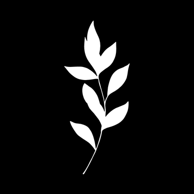 Graphic of a leaf